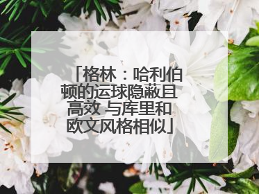 格林：哈利伯顿的运球隐蔽且高效 与库里和欧文风格相似