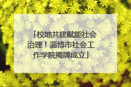 校地共建赋能社会治理！淄博市社会工作学院揭牌成立