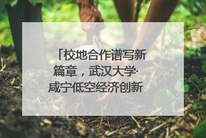 校地合作谱写新篇章，武汉大学·咸宁低空经济创新研究院签约成立