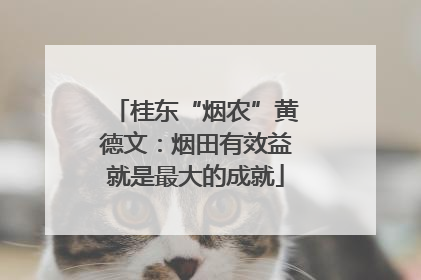桂东“烟农”黄德文：烟田有效益就是最大的成就