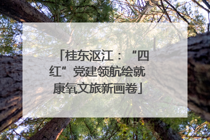 桂东沤江：“四红”党建领航绘就康氧文旅新画卷