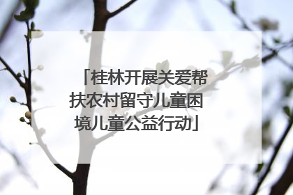 桂林开展关爱帮扶农村留守儿童困境儿童公益行动