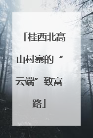 桂西北高山村寨的“云端”致富路