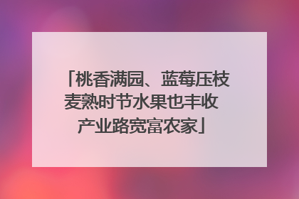 桃香满园、蓝莓压枝 麦熟时节水果也丰收 产业路宽富农家