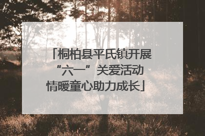 桐柏县平氏镇开展“六一”关爱活动 情暖童心助力成长