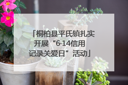桐柏县平氏镇扎实开展“6·14信用记录关爱日”活动