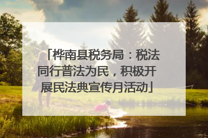 桦南县税务局：税法同行普法为民，积极开展民法典宣传月活动