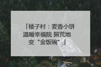 楼子村：麦香小饼温暖幸福院 撂荒地变“金饭碗”