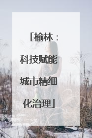榆林：科技赋能城市精细化治理