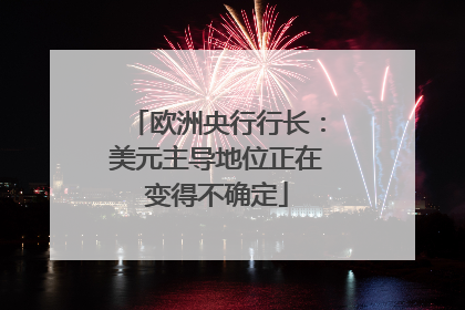 欧洲央行行长：美元主导地位正在变得不确定