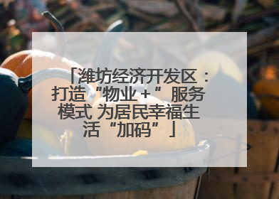 潍坊经济开发区：打造“物业＋”服务模式 为居民幸福生活“加码”