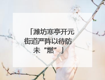 潍坊寒亭开元街道严阵以待防未“燃”
