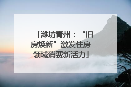 潍坊青州：“旧房焕新”激发住房领域消费新活力