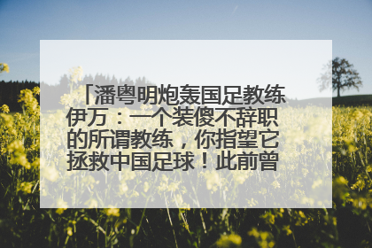 潘粤明炮轰国足教练伊万：一个装傻不辞职的所谓教练，你指望它拯救中国足球！此前曾多次发文评价国足