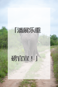 潘展乐重磅官宣！