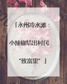 永州冷水滩：小辣椒结出村民“致富果”