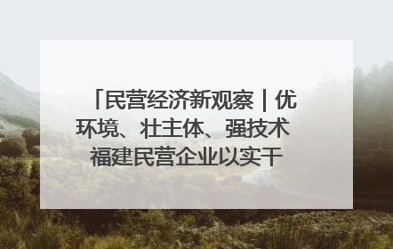 民营经济新观察｜优环境、壮主体、强技术 福建民营企业以实干担当聚势谋进