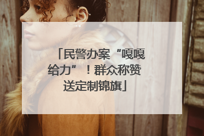 民警办案“嘎嘎给力”！群众称赞送定制锦旗