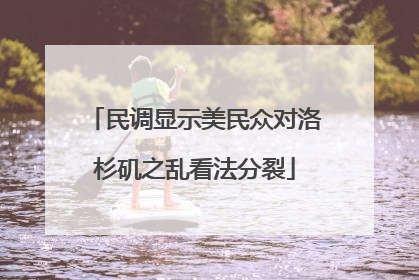 民调显示美民众对洛杉矶之乱看法分裂