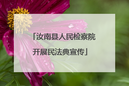 汝南县人民检察院开展民法典宣传