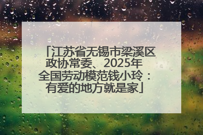 江苏省无锡市梁溪区政协常委、2025年全国劳动模范钱小玲：有爱的地方就是家