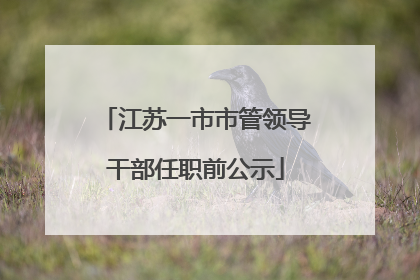 江苏一市市管领导干部任职前公示