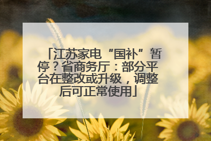 江苏家电“国补”暂停？省商务厅：部分平台在整改或升级，调整后可正常使用