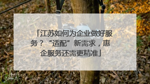 江苏如何为企业做好服务？“适配”新需求，惠企服务还需更精准