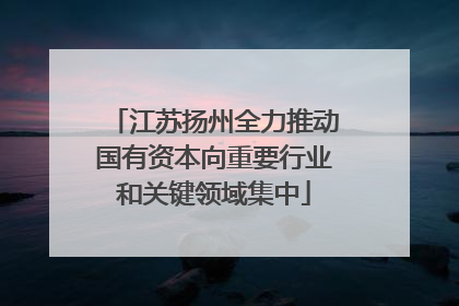 江苏扬州全力推动国有资本向重要行业和关键领域集中
