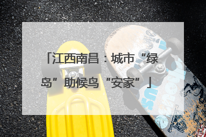 江西南昌：城市“绿岛”助候鸟“安家”