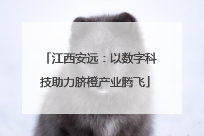 江西安远：以数字科技助力脐橙产业腾飞