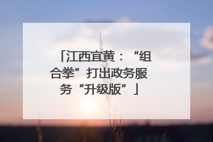 江西宜黄：“组合拳”打出政务服务“升级版”