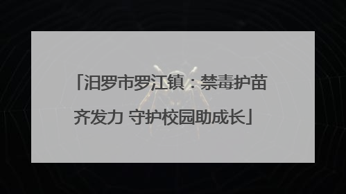 汨罗市罗江镇：禁毒护苗齐发力 守护校园助成长