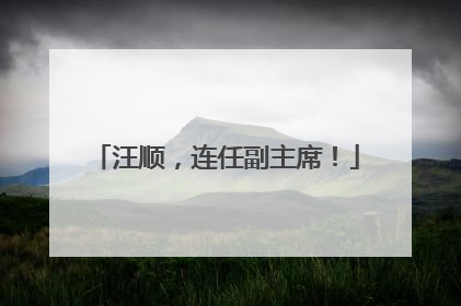 汪顺，连任副主席！