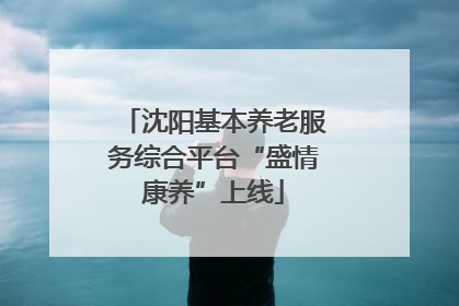 沈阳基本养老服务综合平台“盛情康养”上线