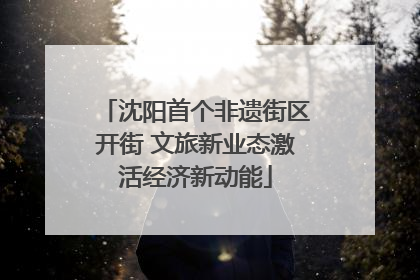 沈阳首个非遗街区开街 文旅新业态激活经济新动能