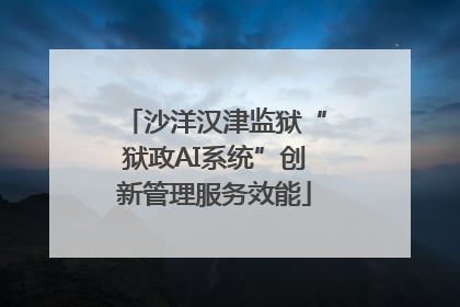 沙洋汉津监狱“狱政AI系统”创新管理服务效能