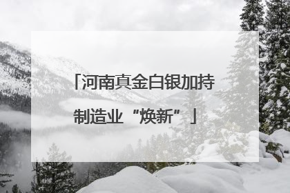 河南真金白银加持制造业“焕新”