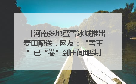 河南多地蜜雪冰城推出麦田配送，网友：“雪王”已“卷”到田间地头
