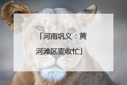 河南巩义：黄河滩区麦收忙