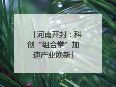 河南开封：科创“组合拳”加速产业焕新