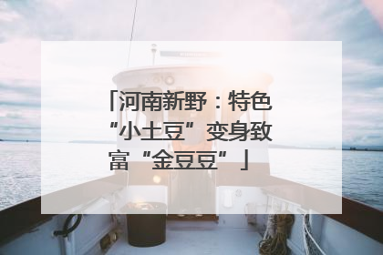 河南新野：特色“小土豆”变身致富“金豆豆”