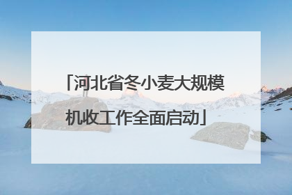 河北省冬小麦大规模机收工作全面启动