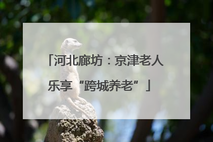 河北廊坊：京津老人乐享“跨城养老”