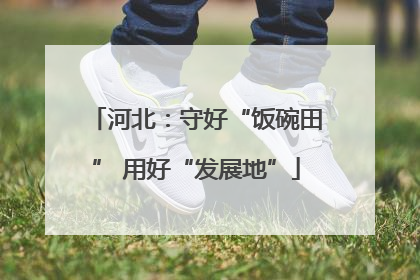 河北：守好“饭碗田” 用好“发展地”