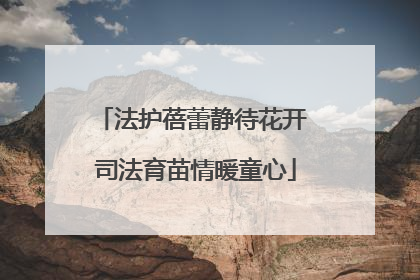法护蓓蕾静待花开 司法育苗情暖童心