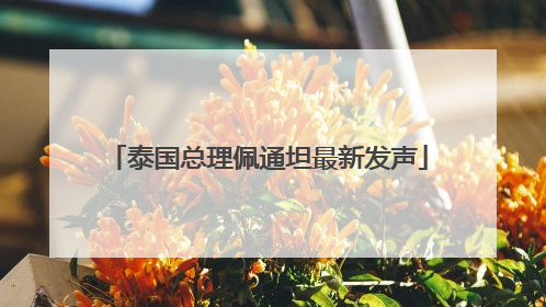 泰国总理佩通坦最新发声