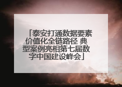 泰安打通数据要素价值化全链路径 典型案例亮相第七届数字中国建设峰会