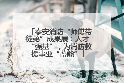 泰安消防“师傅带徒弟”成果展：人才“强基”，为消防救援事业“蓄能”