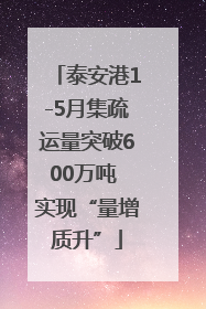 泰安港1-5月集疏运量突破600万吨 实现“量增质升”